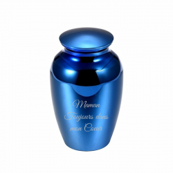 La mini urne bleue