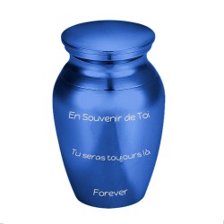 The mini blue urn